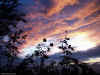 Coucher De Soleil 20.jpg (120237 bytes)