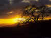 Coucher De Soleil 24.jpg (170158 bytes)