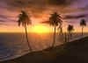 Coucher De Soleil 26.jpg (99389 bytes)