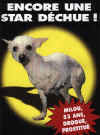 milou.jpg (47127 octets)