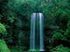 nature45_1024.jpg (226253 bytes)