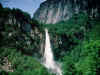nature53_1024.jpg (238395 bytes)