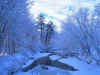 neige01.jpg (183961 octets)