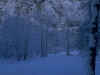 neige05.jpg (85725 octets)