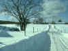 neige07.jpg (124691 octets)