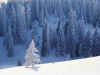 neige13.jpg (56270 octets)