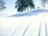 neige17.jpg (38523 octets)