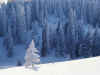 neige24.jpg (113796 octets)
