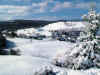 neige25.jpg (128767 octets)