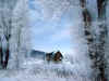 neiges 567.jpg (209888 octets)