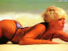 swimsuit022.jpg (48667 bytes)