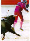 torero.jpg (21793 bytes)