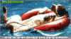 vie_de_chien_piscine.jpg (28947 octets)